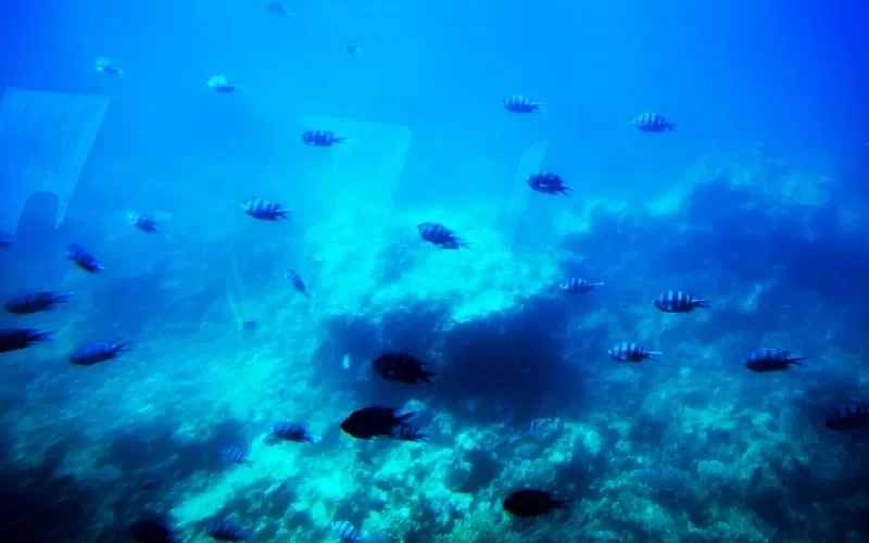 Excursion De Hurghada À Louxor   